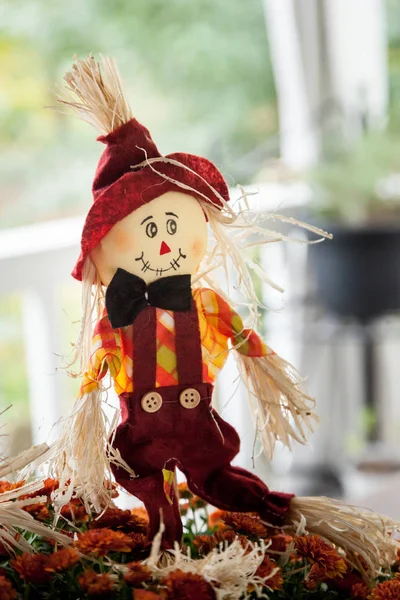 Autumn Scarecrow in Mums — Stock Photo, Image