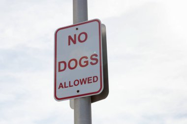 Köpekler imza atamaz.