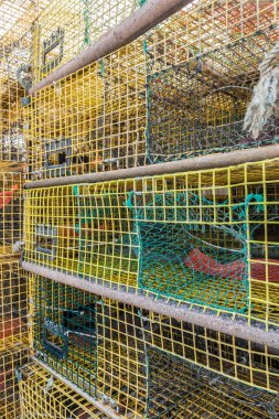 Istakoz yığılmış tencere 