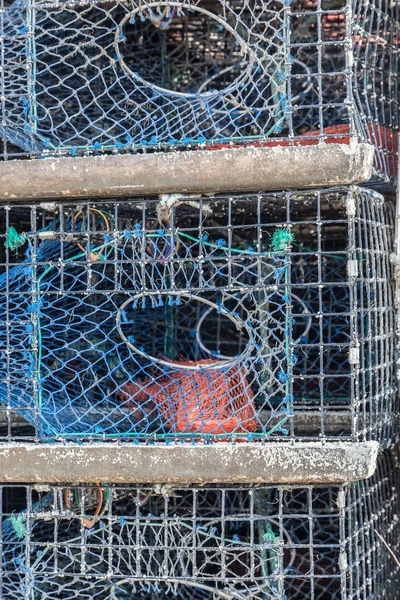 Istakoz yığılmış tencere 