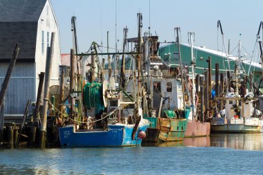 Ticari balıkçı tekneleri Belford, New Jersey