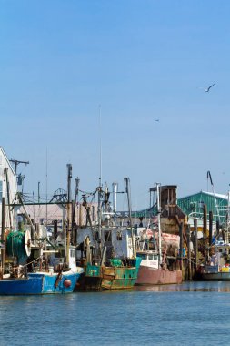 Ticari balıkçı tekneleri Belford, New Jersey