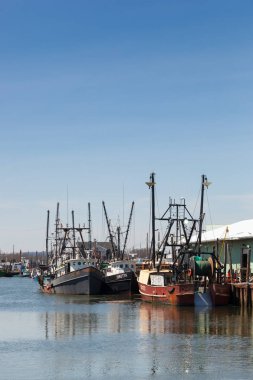 Ticari balıkçı tekneleri Belford, New Jersey