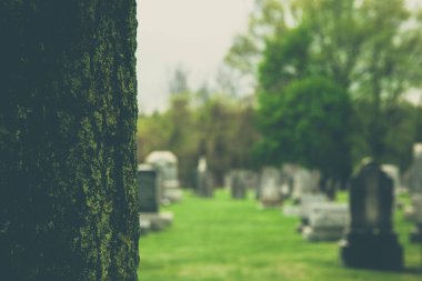 Mezarlıkta eski mezar taşları