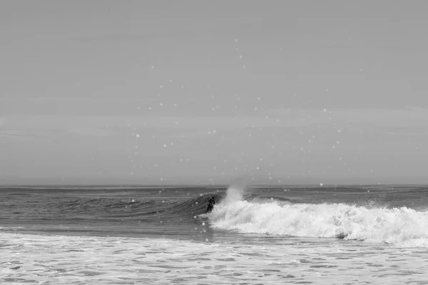 Surfing i affären New Jersey — Stockfoto