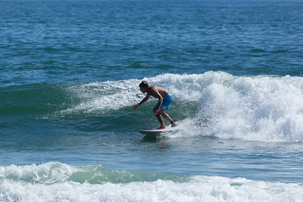 Denizde sörf New Jersey kolan