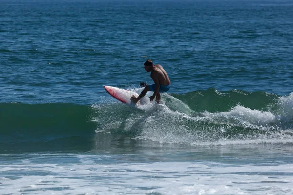 Denizde sörf New Jersey kolan