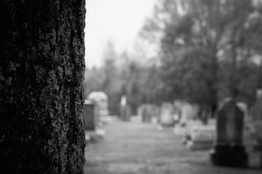 Kingston mezarlığı Gravesite