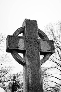 Princeton mezarlığı Gravesite