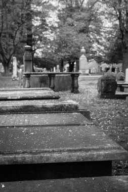 Princeton mezarlığı Gravesite