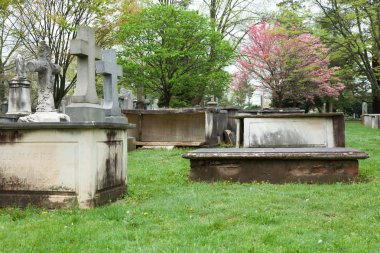 Princeton mezarlığı Gravesite