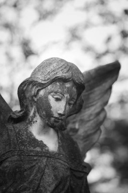 Princeton mezarlığı Gravesite