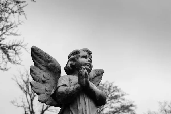 Princeton Cemetery gravplats — Stockfoto