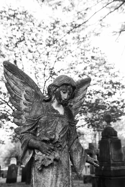 Princeton Cemetery gravplats — Stockfoto
