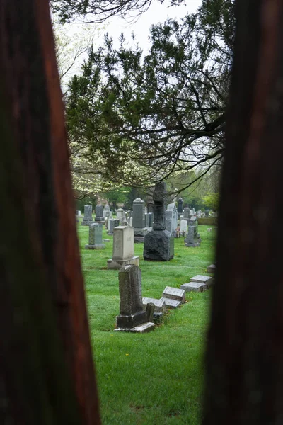 Princeton Cemetery Gravesite — Stock Photo, Image