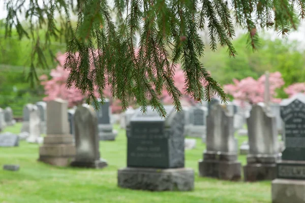 Kingston Kirkegård Gravesite - Stock-foto