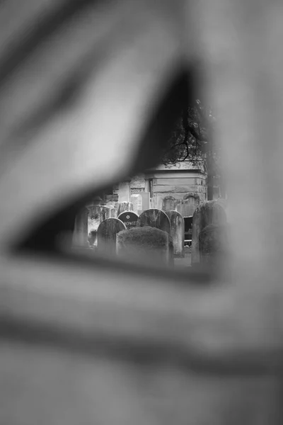 PRINCETON hřbitov Gravesite — Stock fotografie