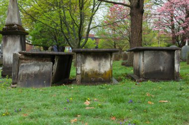 Princeton mezarlığı Gravesite