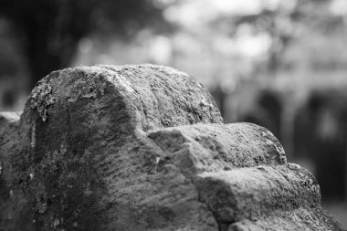 Rahway mezarlığı New Jersey