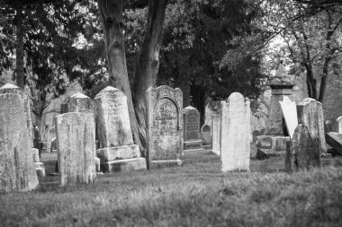 Rahway mezarlığı New Jersey