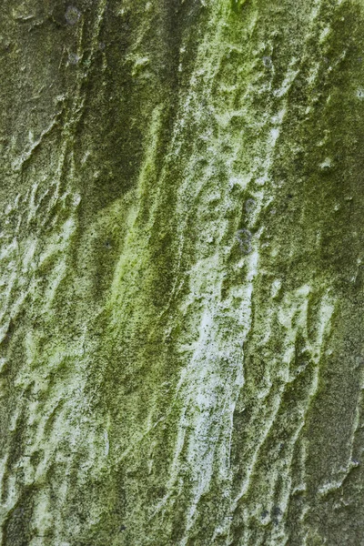 Textura antiga Tombstone — Fotografia de Stock