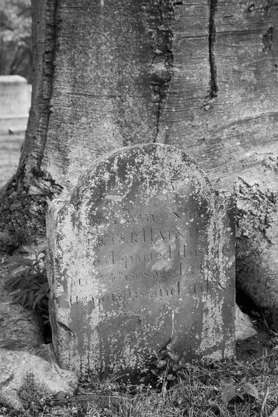 Νεκροταφείο Rahway Νιου Τζέρσεϋ — Φωτογραφία Αρχείου