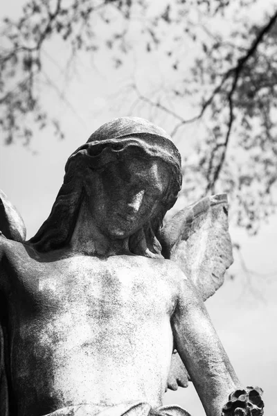 Rahway mezarlığı New Jersey