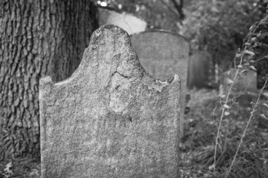 Mezarlıkta eski mezar taşları