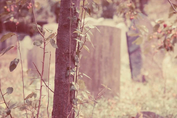 Staré náhrobní kameny na hřbitově — Stock fotografie