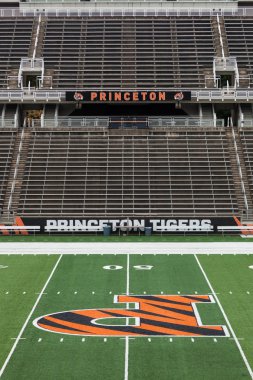 Princeton Üniversitesi'nde alan güçler