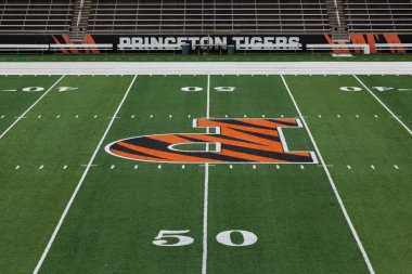 Princeton Üniversitesi'nde alan güçler