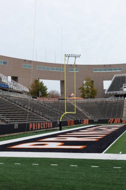 Princeton Üniversitesi'nde alan güçler