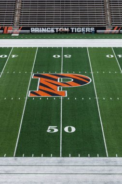 Princeton Üniversitesi'nde alan güçler