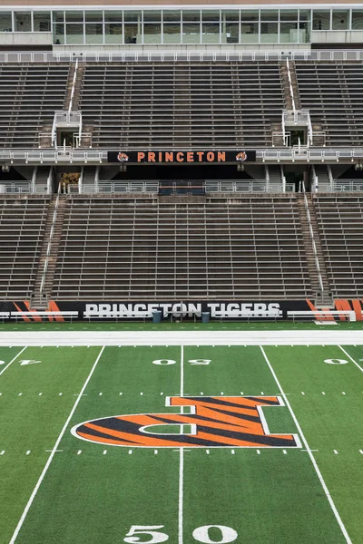 Princeton Üniversitesi'nde alan güçler