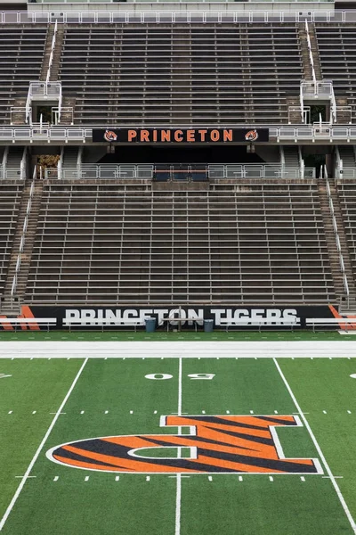 Princeton Üniversitesi'nde alan güçler