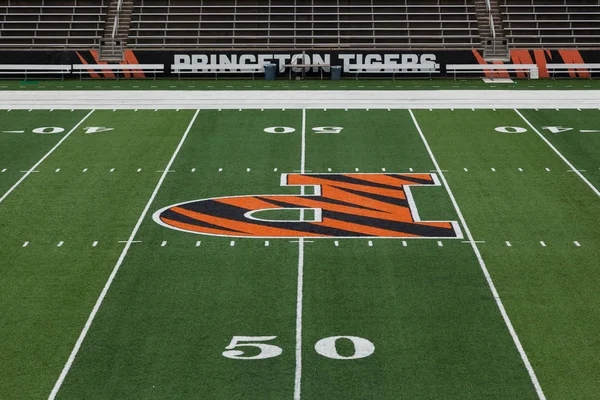 Princeton Üniversitesi'nde alan güçler