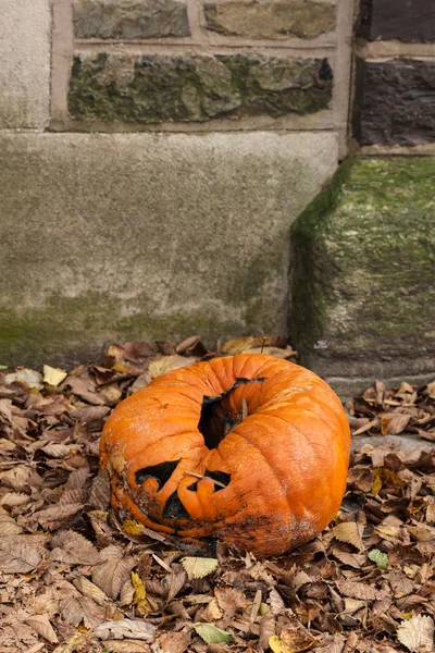 Moldy Jack-o-lantern After Halloween — Stock Photo, Image