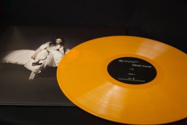 Billie Eilish Albümü