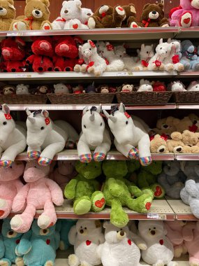 Doldurulmuş Hayvan Sevgililer Günü Gösterimi