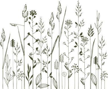 kabataslak el çayır çimen ve bitkiler