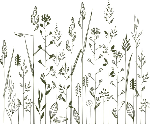 Handgezeichnetes Wiesengras Und Pflanzen — Stockvektor