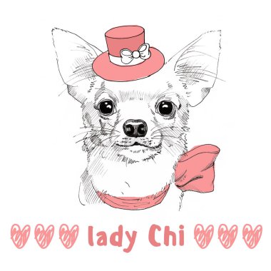 pembe şapkalı beyaz Chihuahua el çizilmiş portresi