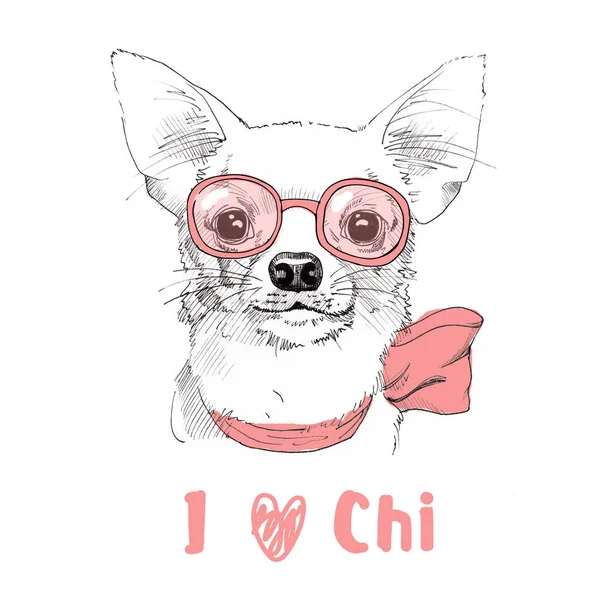 Chihuahua el gözlük ile çizilmiş portresi