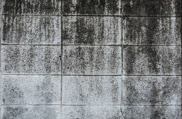 Cement block wall texture