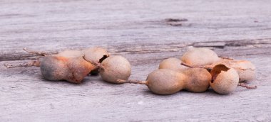 Demirhindi pod ile kırık deniz hayvanı kabuğu.