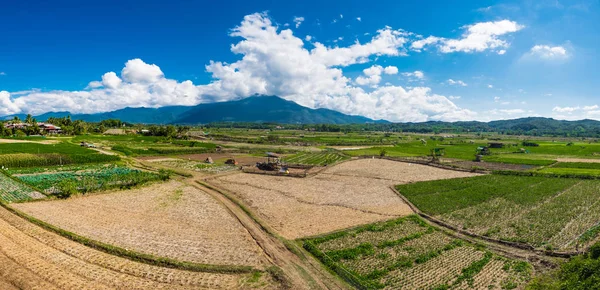 Панорама рисового поля . — стоковое фото