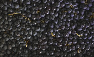 Siyah kuru üzüm üzüm arka plan