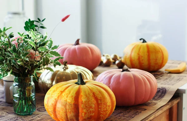 Painted pumpkins in the creative workshop — Stock Photo, Image