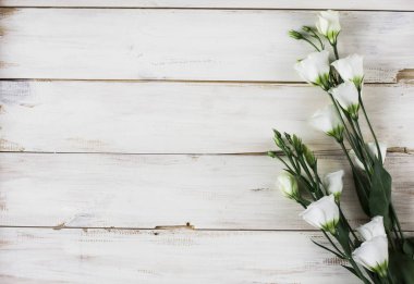 Beyaz tahta arka plan ile çiçek eustoma