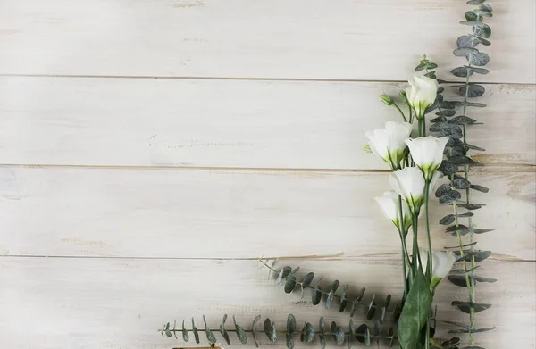 As flores eustoma e eucalipto sobre fundo de madeira branco — Fotografia de Stock